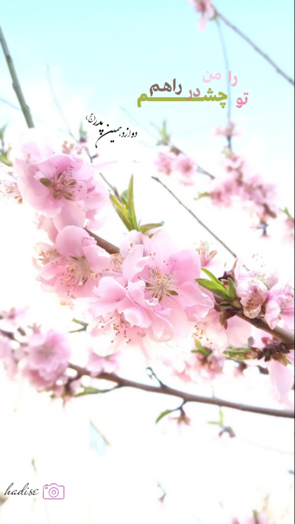 تو را من چشم در راهم