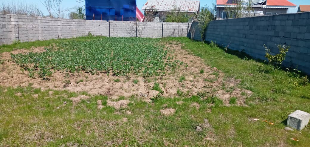 فروش زمين به متراژ 425 دردهستان كيسم
