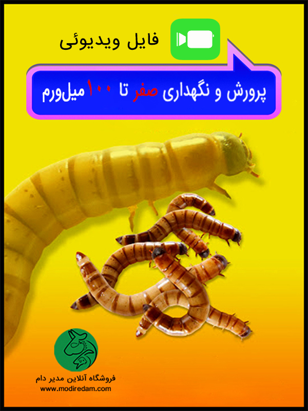 ويدئو آموزشي پرورش ميل ورم