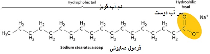 متن جایگزین